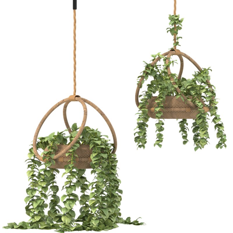 boho hanging plant 02 - Image 1