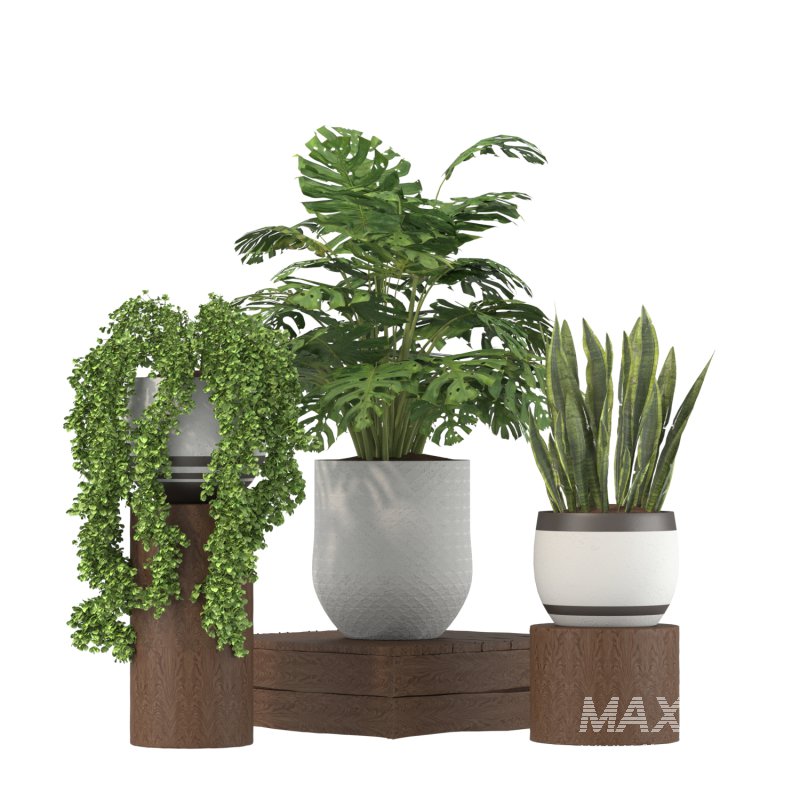 Plant Set 02 - Image 2