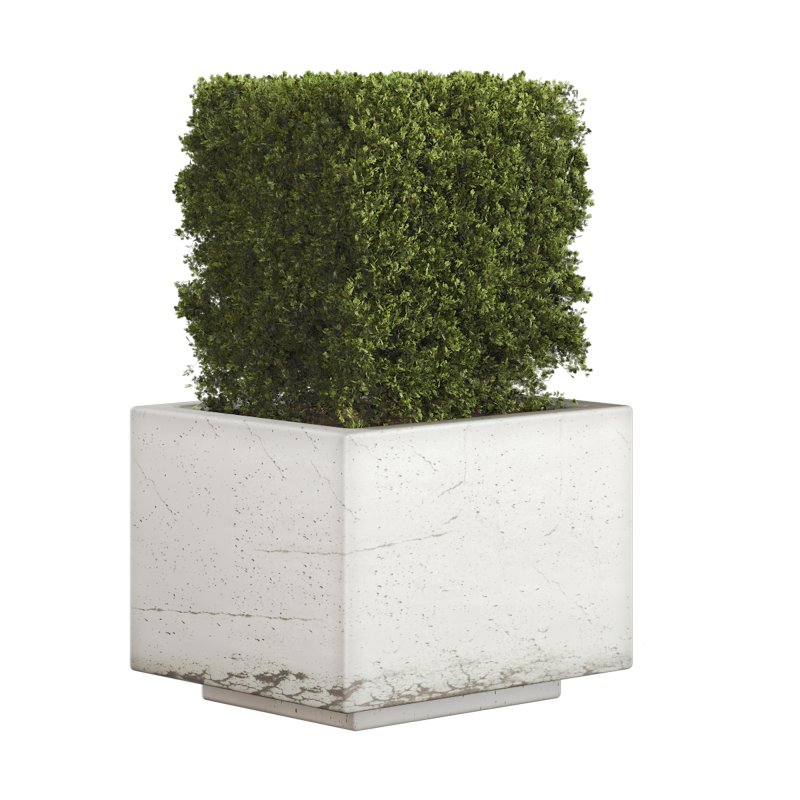 Hedge Set 01 - Image 2