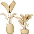AV Indoor Plants Set 285 Ravenala Banana Strelitzia Nicolai Bird Of Paradise Set - Thumbnail 9