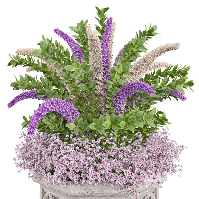 Outdoor plants set 01 - Image 2