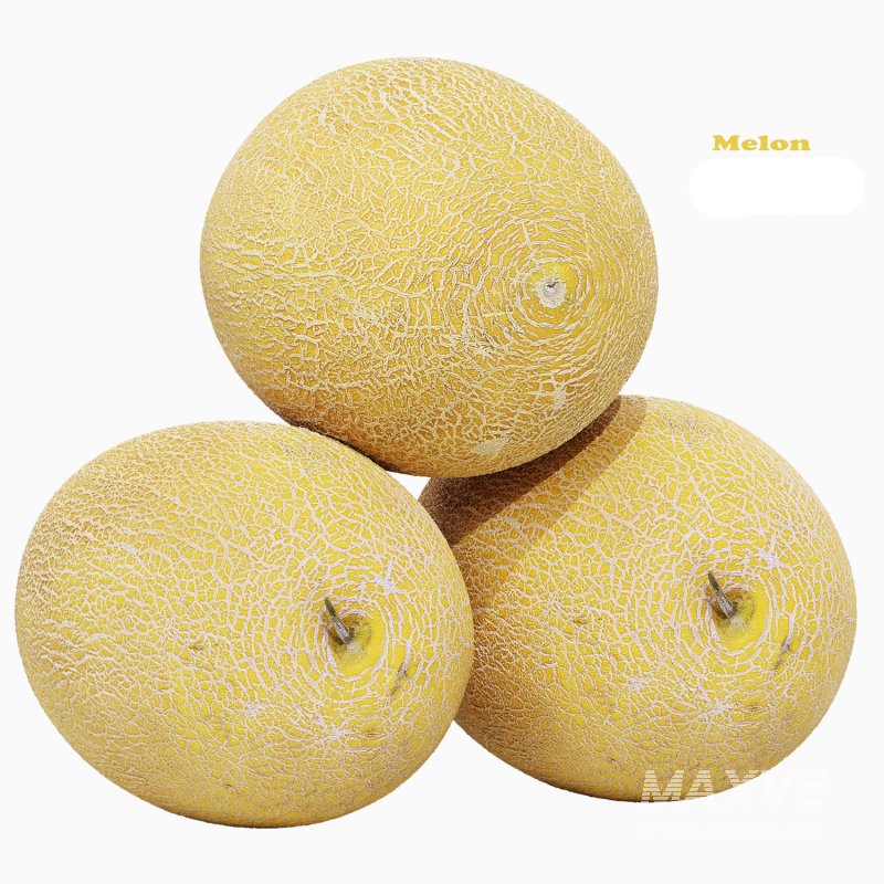 Melon - Image 1