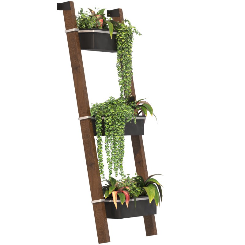 Plant Set 05 - Image 1