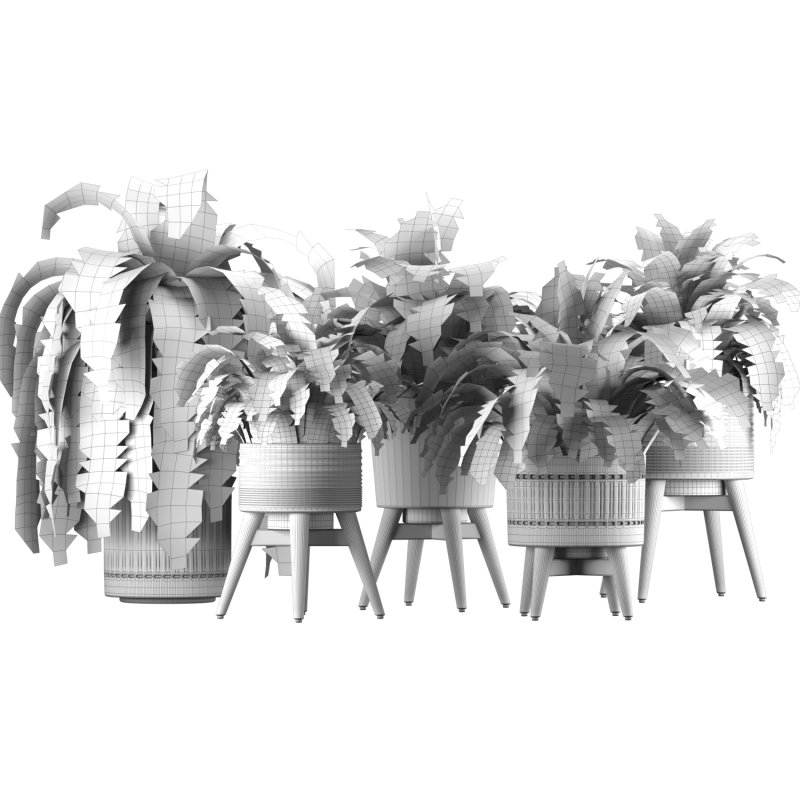 Fern Plant Set - Image 9