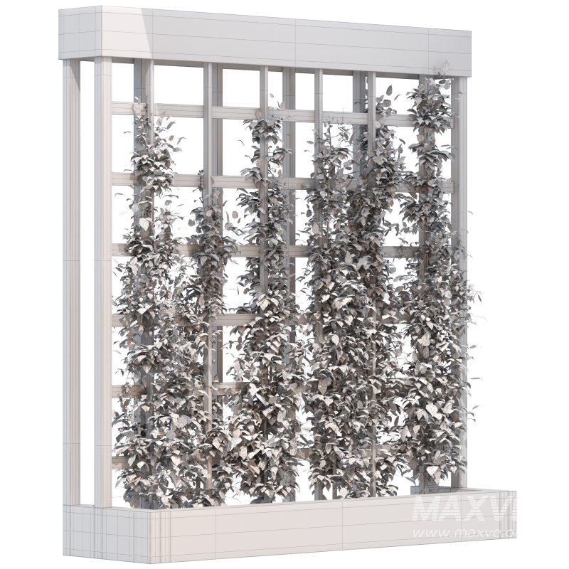 Vertical Garden Trellis 01 - Image 2