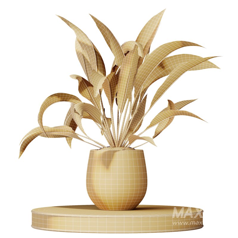 ntal appeal. Schefflera Arboricola, the Umbrella Tree, is admired for its lush, rounded clusters of glossy leaves and elegant branching form. Yucca Elephantipes Gigantea adds architectural strength with its tall, upright stems crowned by spiky green rosettes. Completing the set, Spathiphyllum Wallisii ‘Bellini’ Peace Lily Domino showcases elongated, deep green leaves with elegant variegation, a timeless favorite for indoor environments. Together, these plants create a balanced composition of tropical vibrancy and refined greenery, ideal for modern interiors and architectural visualization. - Image 10