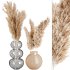 Minimal Pampas Bouquet in Glass Vase - Thumbnail 1