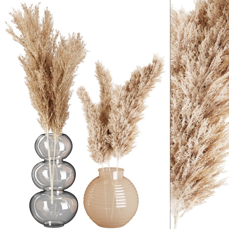 Minimal Pampas Bouquet in Glass Vase - Image 1