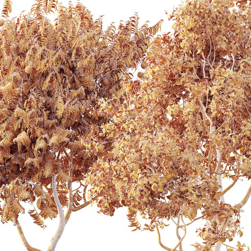 ntal charm. - Image 13