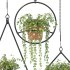 Boho Hanging Plants 03 - Thumbnail 2
