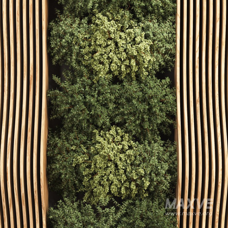 Vertical Garden - Image 5