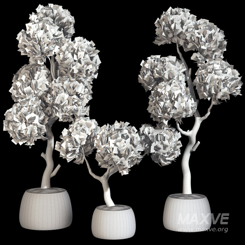 Topiary Ball in Pot Collection 012 - Image 7