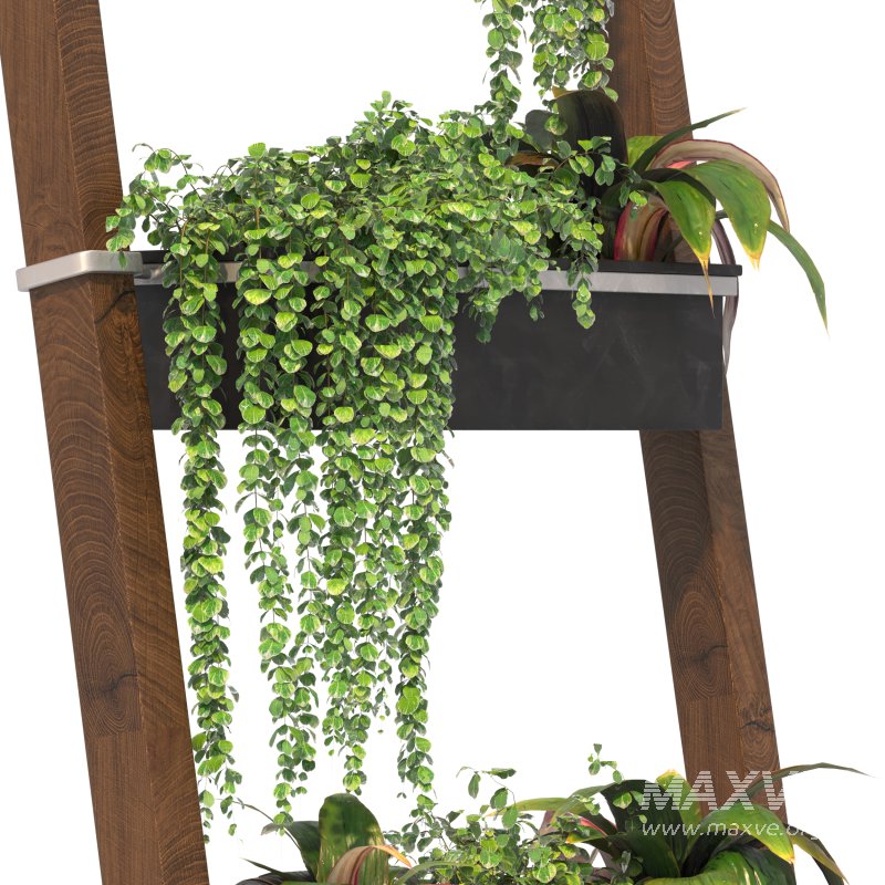 Plant Set 05 - Image 6