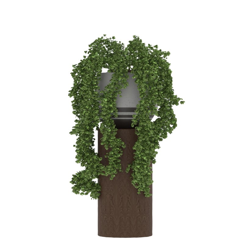 Plant Set 02 - Image 3