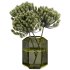Pampas in Vase - Thumbnail 2