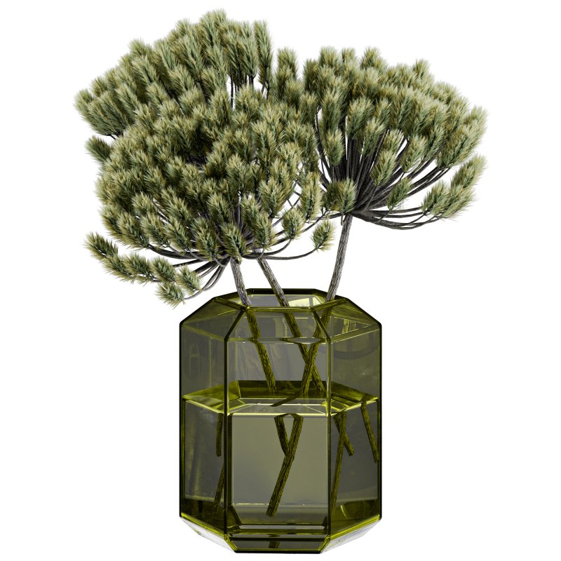Pampas in Vase - Image 2