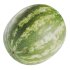 Watermelon - Thumbnail 2