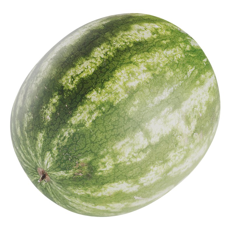 Watermelon - Image 2