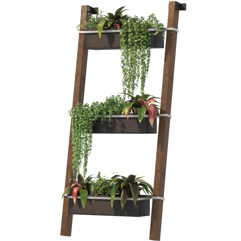 Plant Set 05 - Image 2