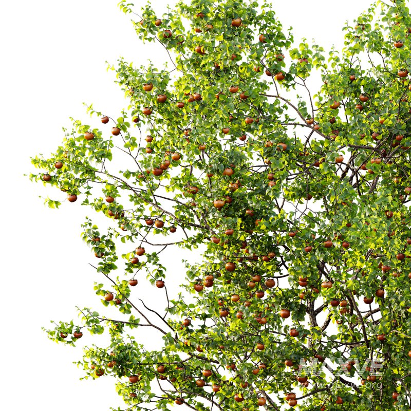 ntal and productive garden designs. - Image 5