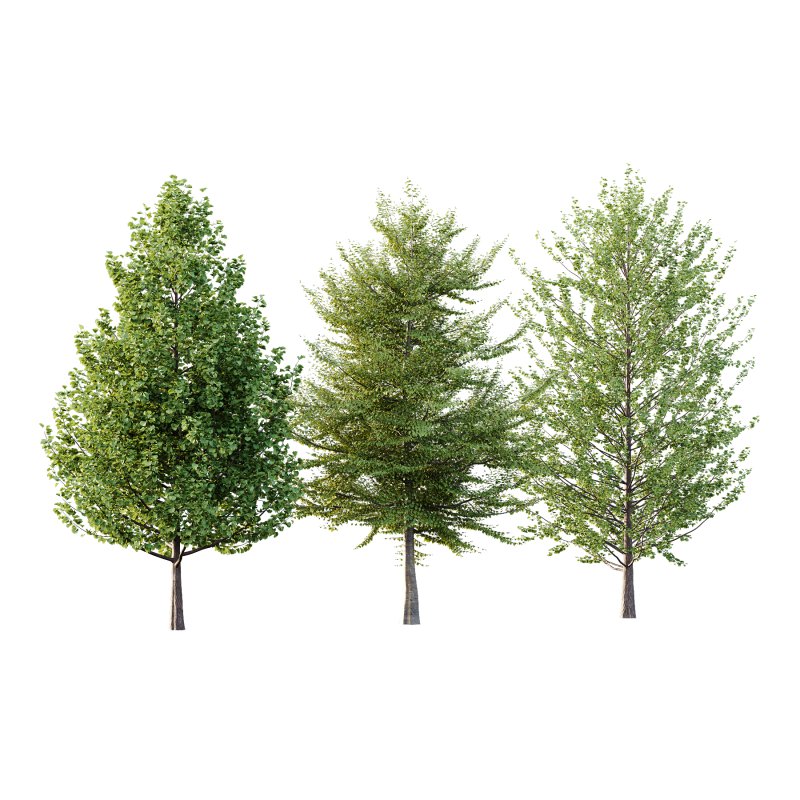 Different Trees 37 - Image 2