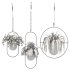 Metal Hanging Plants 02 - Thumbnail 2