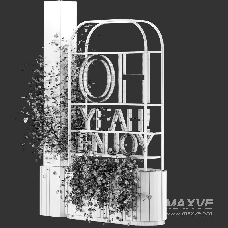 English-Ivy - Image 3