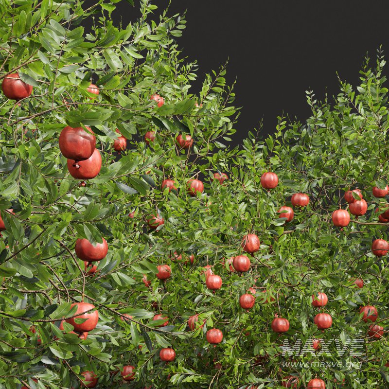 ntal and productive garden designs. - Image 2