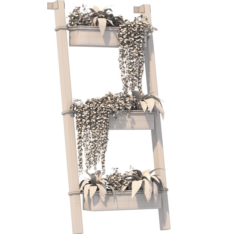 Plant Set 05 - Image 3