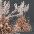 ntal grasses: Cortaderia Selloana (Pampas Grass) and Nassella Tenuissima (Mexican Feather Grass). With their graceful, airy plumes and gently arched green blades, these models are ideal for naturalistic landscapes, boho gardens, wild gardens, or accent planting. - Thumbnail 9