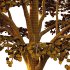 fagus sylvatica tree 13 - Thumbnail 6