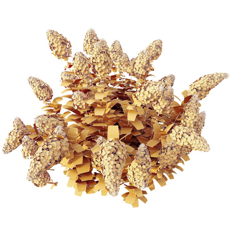 ntal shrub native to East Asia. It is admired for its large conical flower clusters that bloom from summer into autumn, shifting from creamy white to shades of pink, red, and purple as the season progresses. With its lush green foliage and vibrant seasonal transformation, this species is a favorite in decorative landscaping and architectural gardens. - Image 5