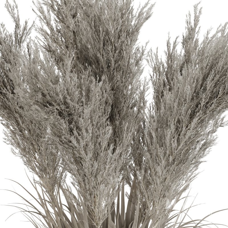 Minimal Pampas Bouquet in Pottery Vase 02 - Image 3