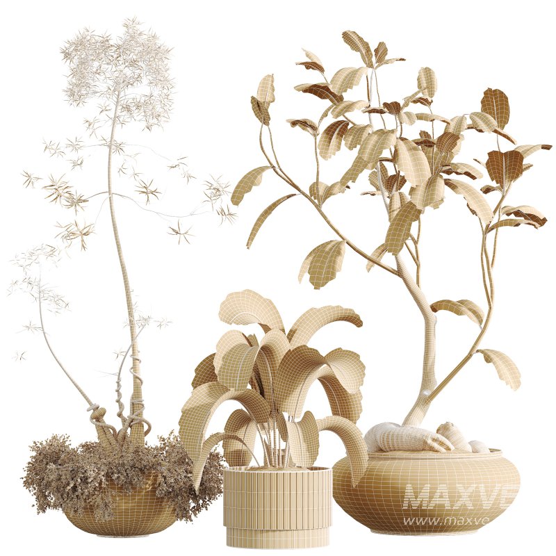 AV Indoor Plants Set 292 Banana Nicolai Bird Of Paradise and Ficus Dracaena Marginata - Image 8