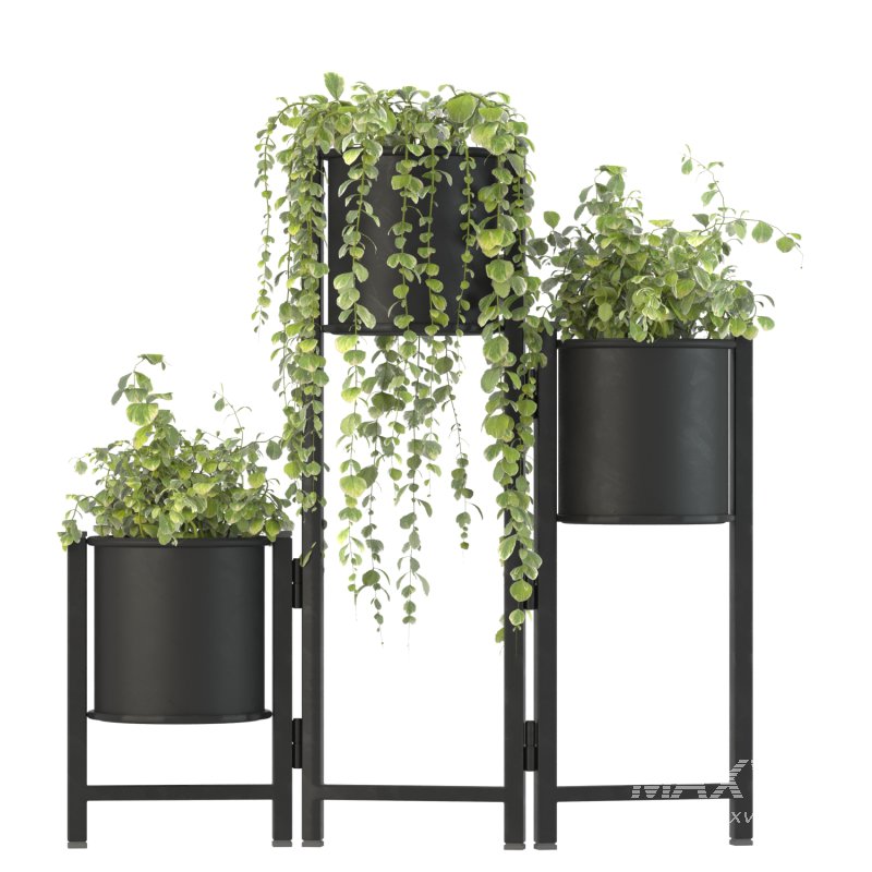 Plant Set 03 - Image 1