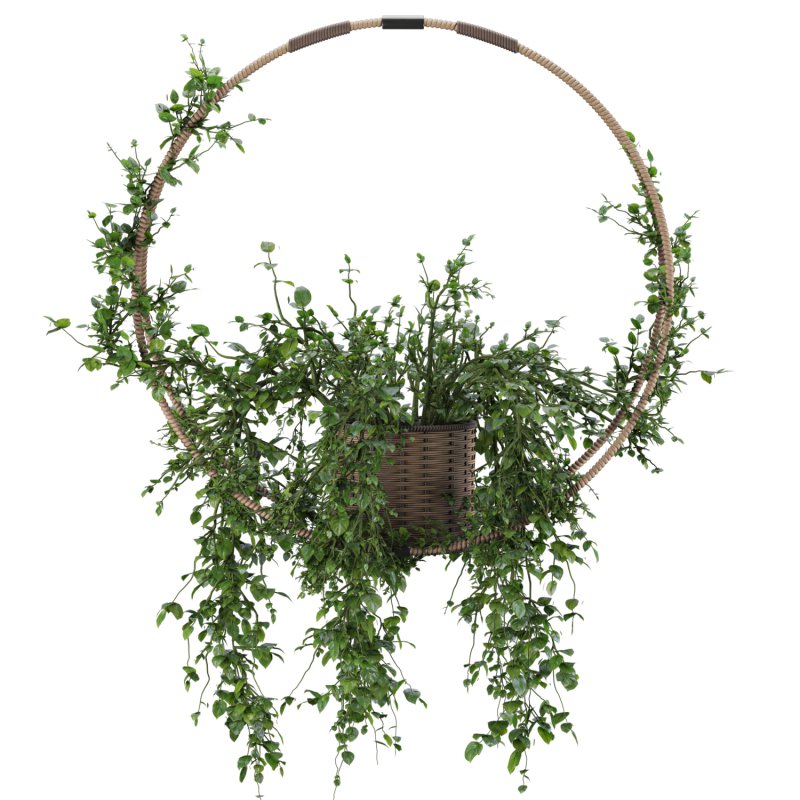 Hanging Wicker Pot - Image 4