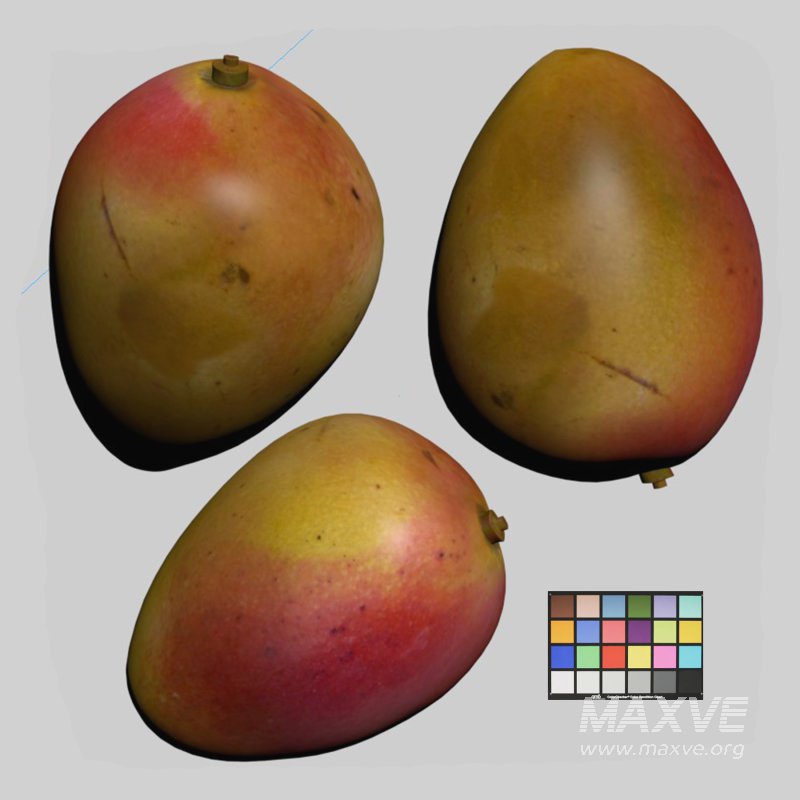 Mango - Image 4