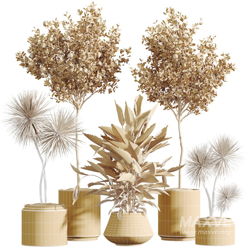 Indoor plant - Image 6