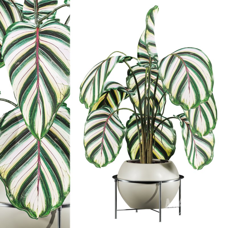 potted plant - Image 2