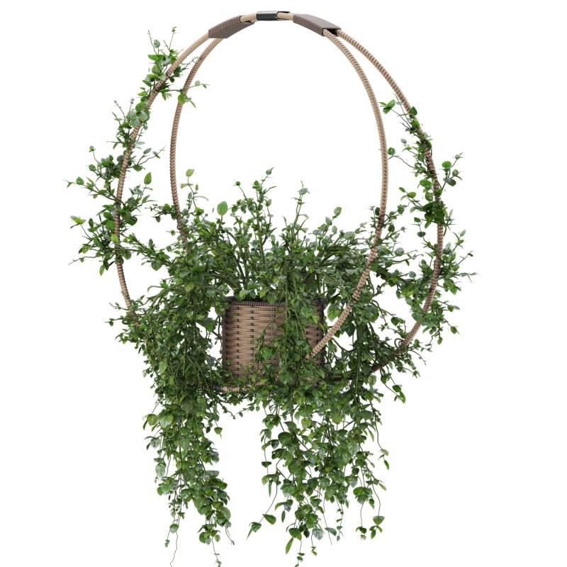 Hanging Wicker Pot - Image 2