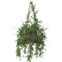 Hanging Wicker Pot - Thumbnail 5