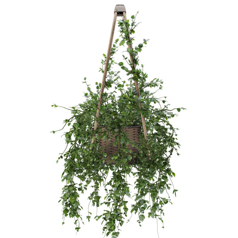 Hanging Wicker Pot - Image 5