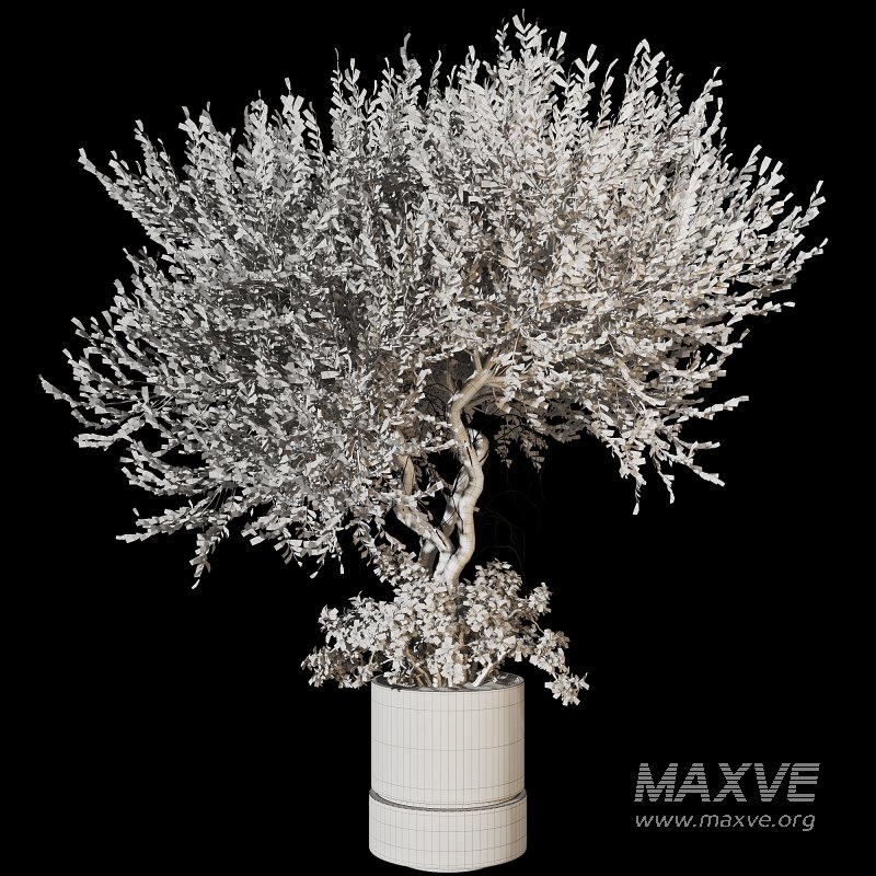 Decorative Indoor Plant and Ivy Branches in Pot - Image 5