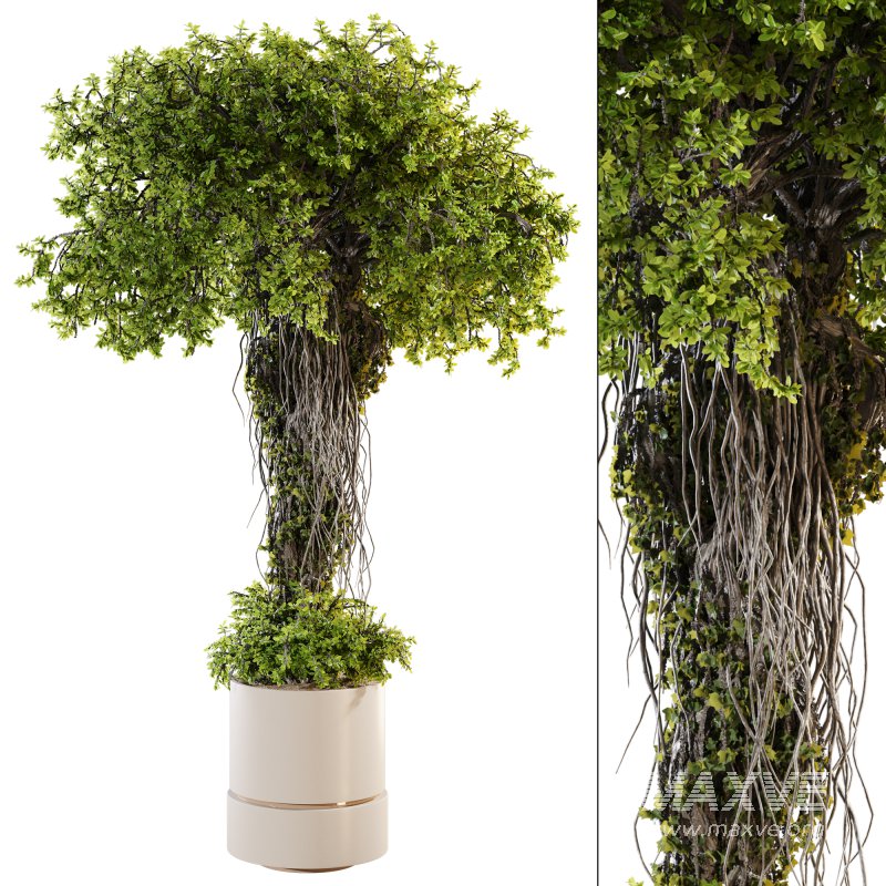 Ivy Branches in Cement Pot - Image 1