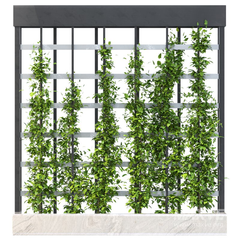 Vertical Garden Trellis 01 - Image 5