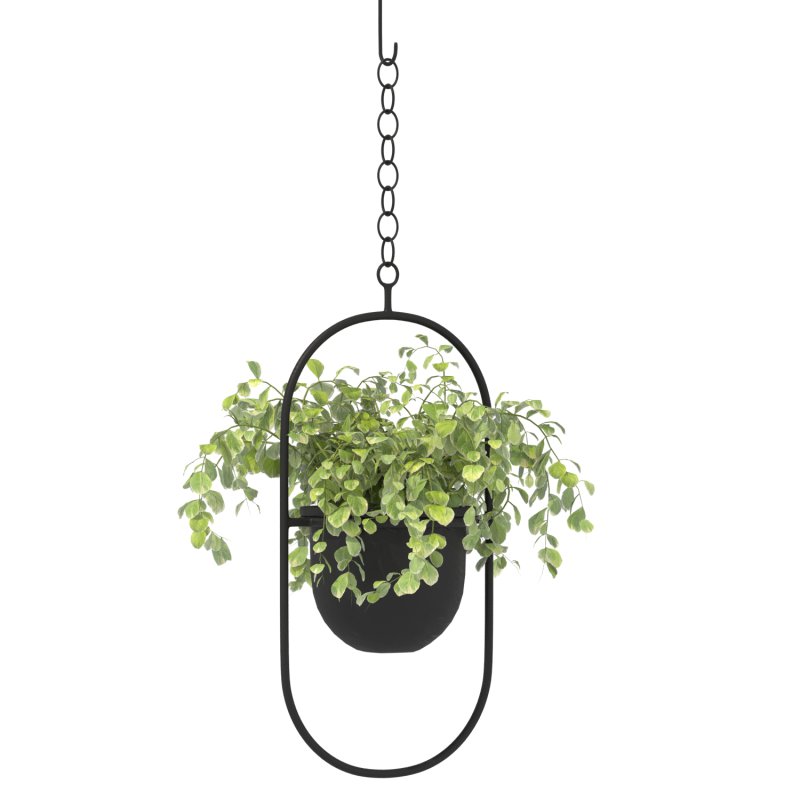 Metal Hanging Plants 02 - Image 3