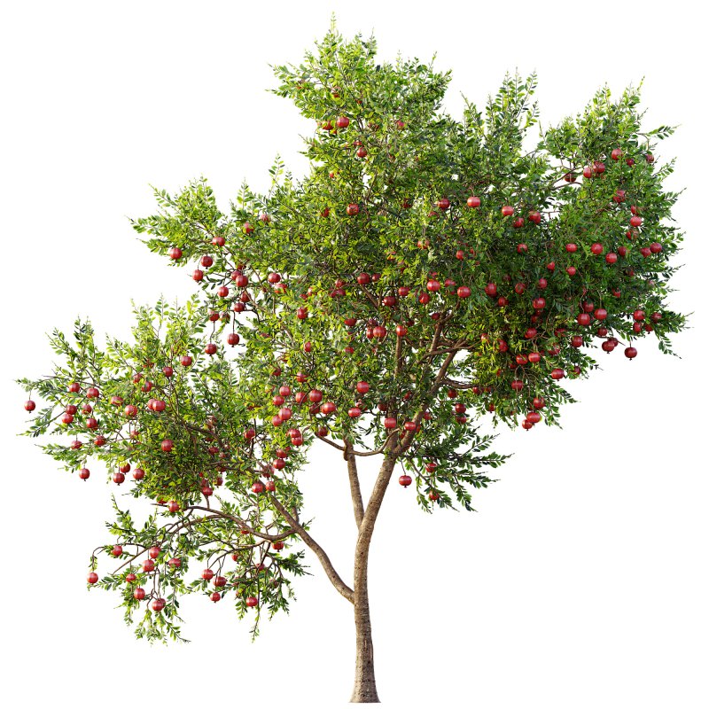 ntal and productive garden designs. - Image 15