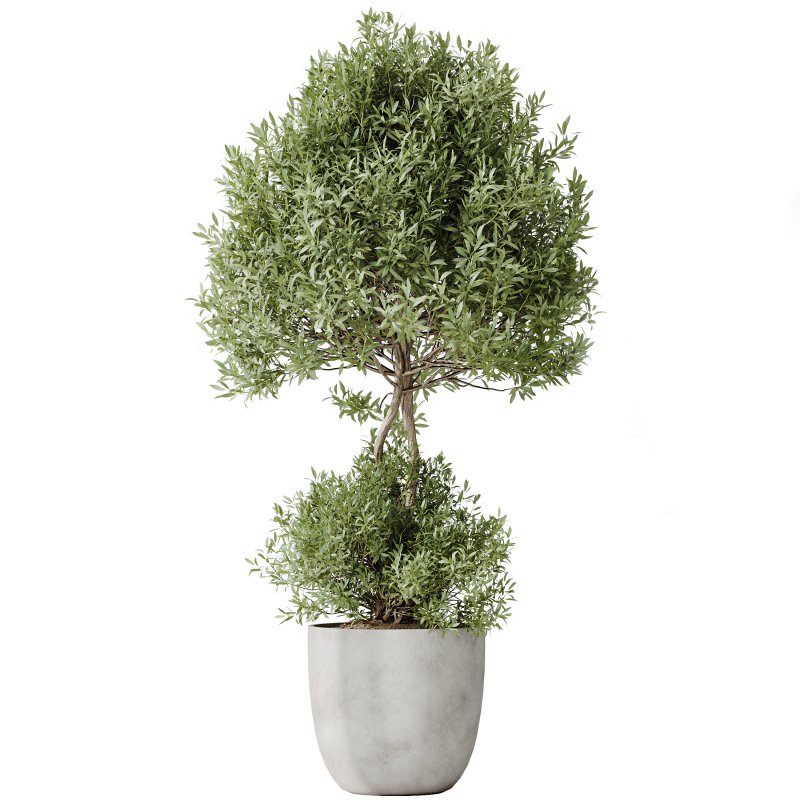 indoor plant set - Image 1