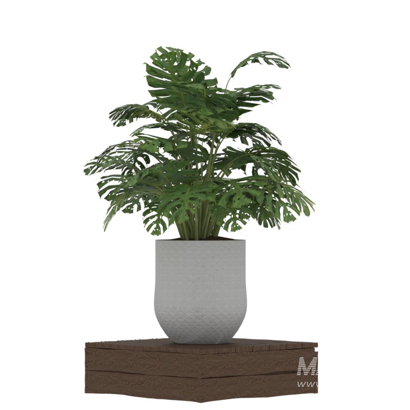 Plant Set 02 - Image 1