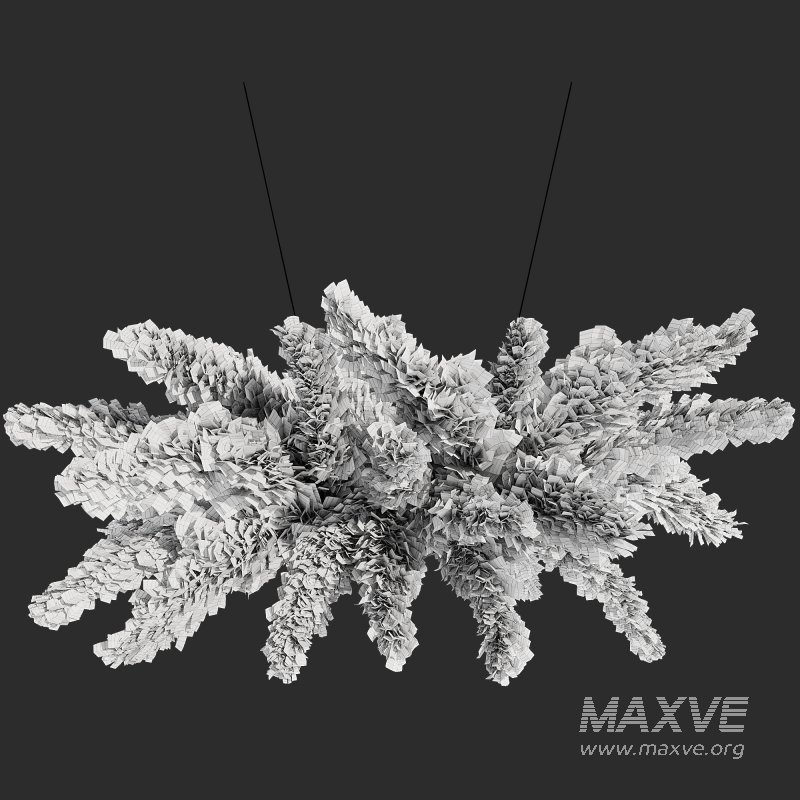 Ceiling Pampas Grass 02 - Image 3